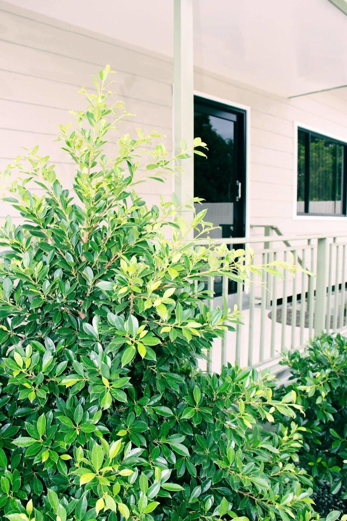Citi Serviced Apartments & Motel - Lagatoi Place Port Moresby Bagian luar foto